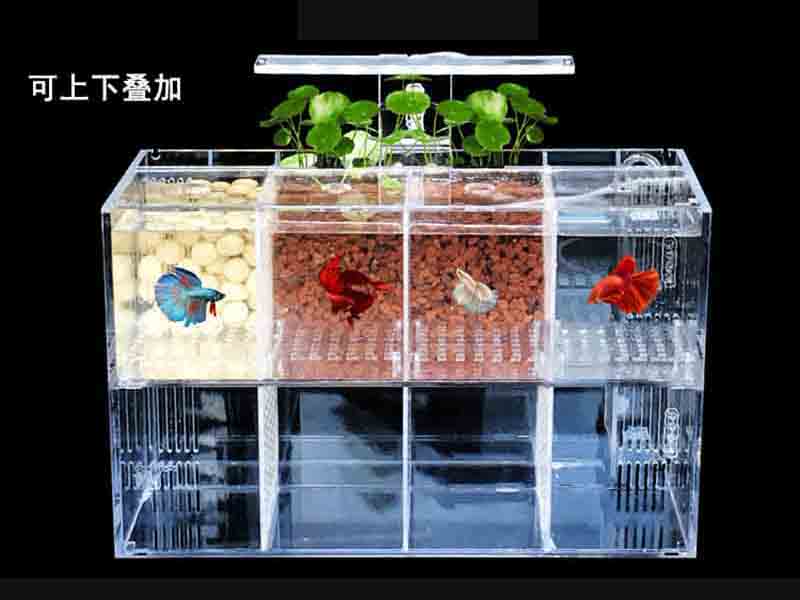 長方形多格斗魚亞克力魚缸廠家定制