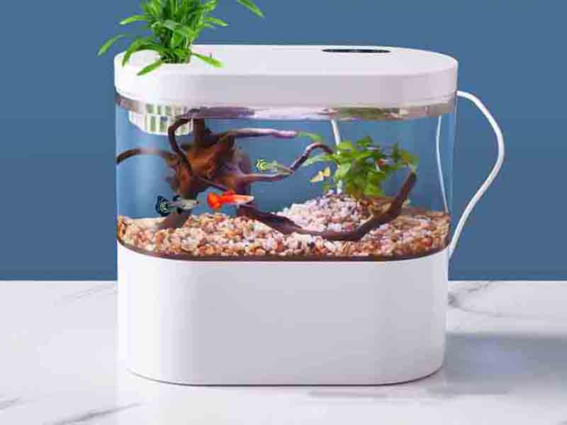 圓形亞克力水族箱廠家定做