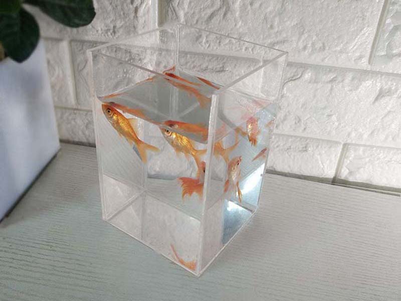 長方形亞克力小魚缸廠家定制